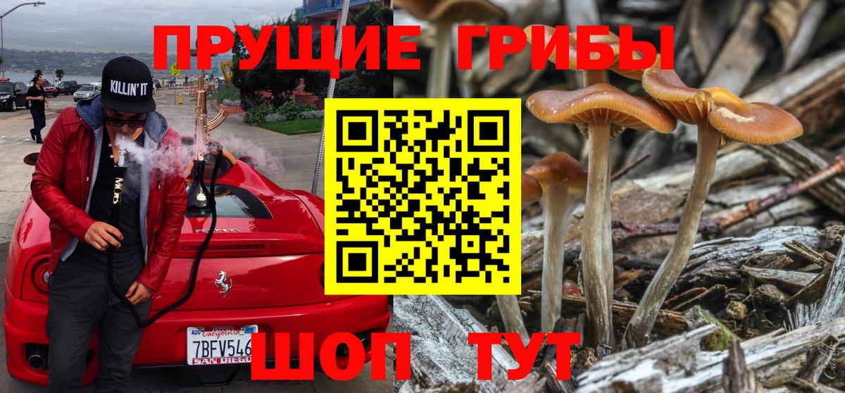 Сызрань  Галлюциногенные грибы MAGIC MUSHROOMS  Вход с VPN 